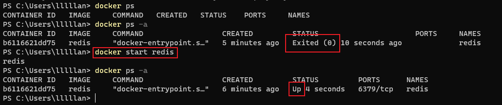 image-20220528123846275